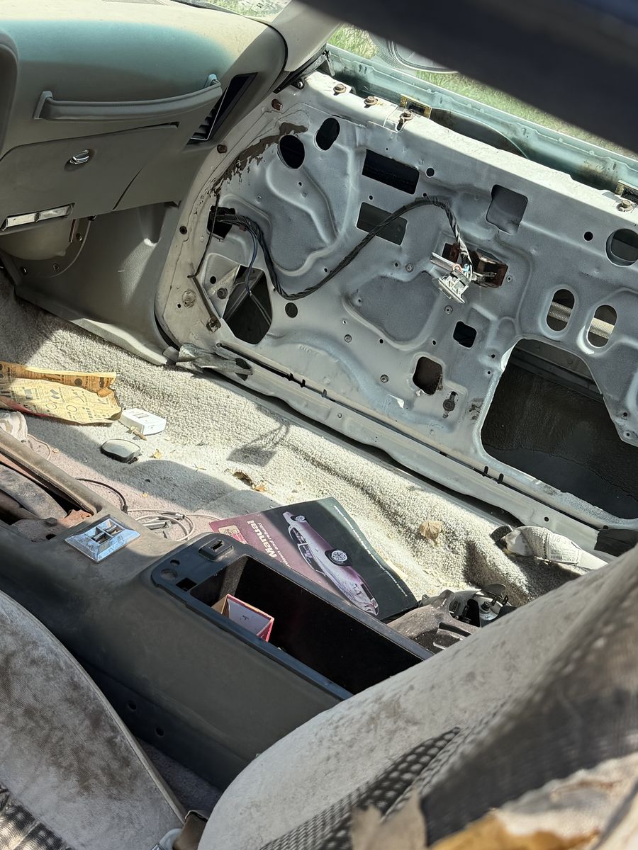 Main image 10