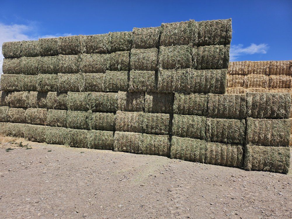 3x4 Alfalfa Hay (new crop)