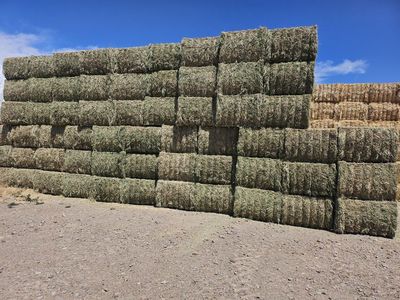 3x4 Alfalfa Hay (new crop)