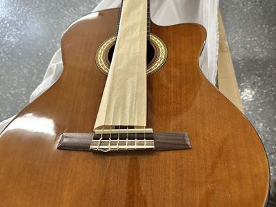 Brand Mew WINZZ AC309CE Acoustic-Electric Guitar