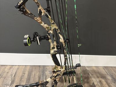 Hoyt RX7