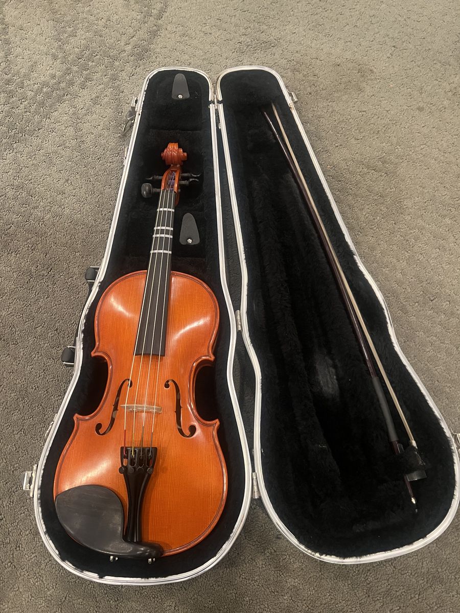 Standard Viola
