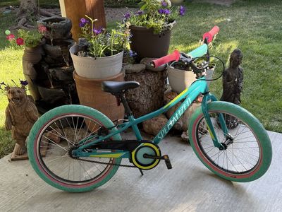 Speicalized 20 inch pedal brake