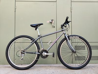 Raleigh M60 Mountain Bike SB103-26