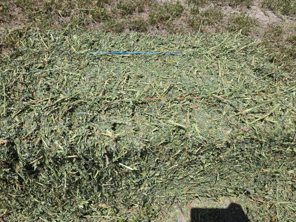 Main image 5