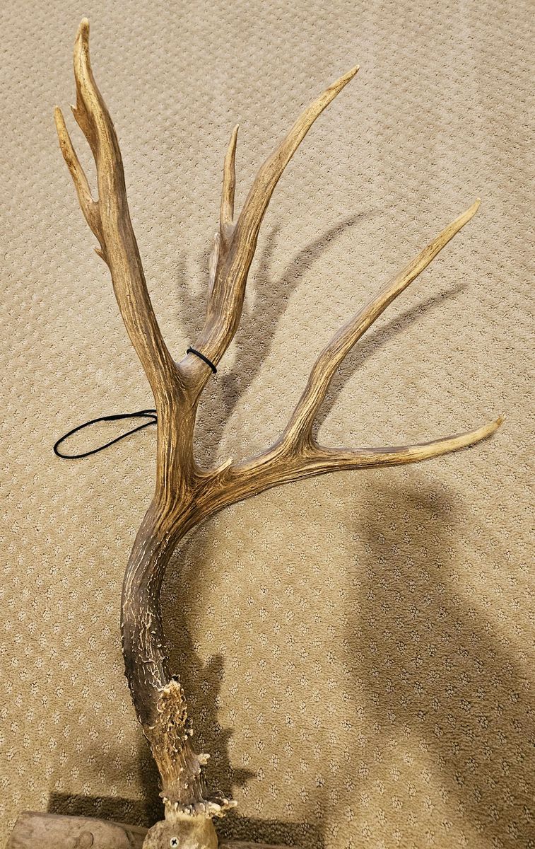 Main image 2