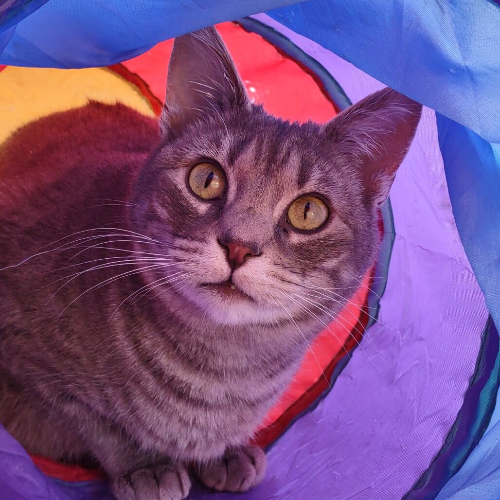 Hello my name is Durant