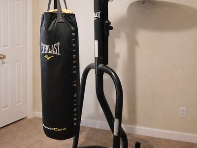 Everlast Heavy Bag w/Stand