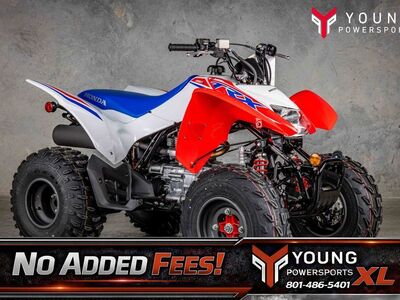 2026 Honda® TRX250X