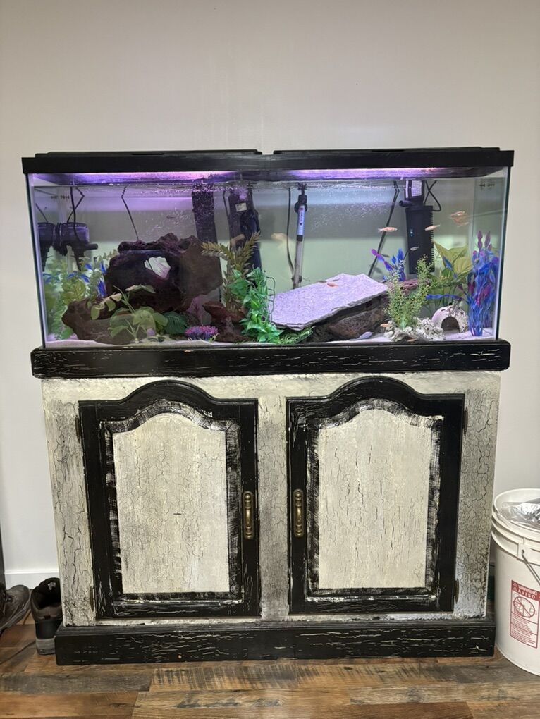 55 Gallon Tank And Stand For Trade