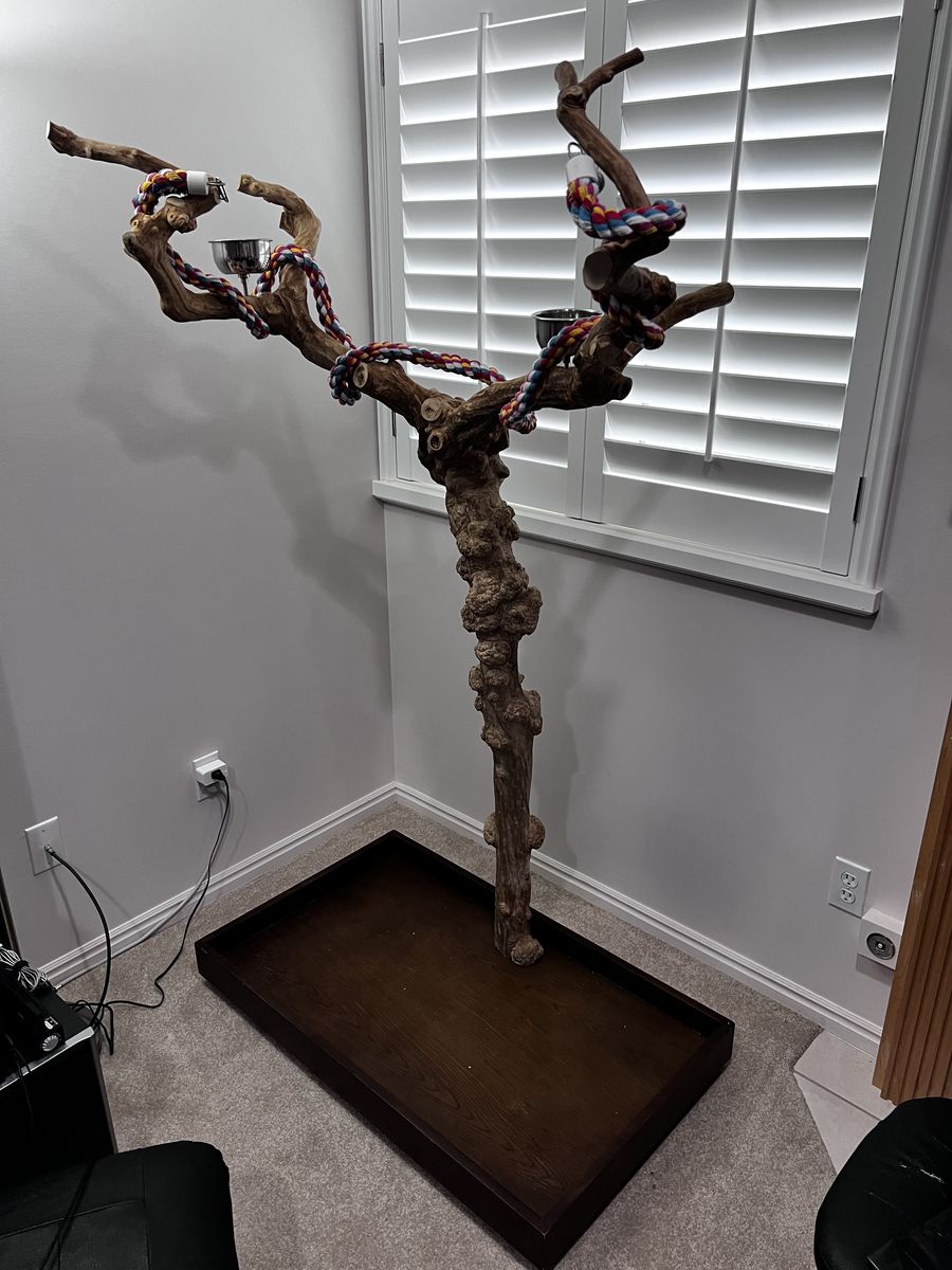 Large Parrot Tree Stand
