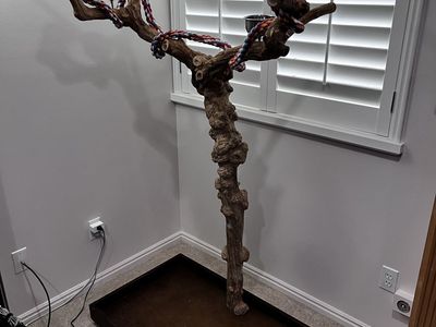 Large Parrot Tree Stand