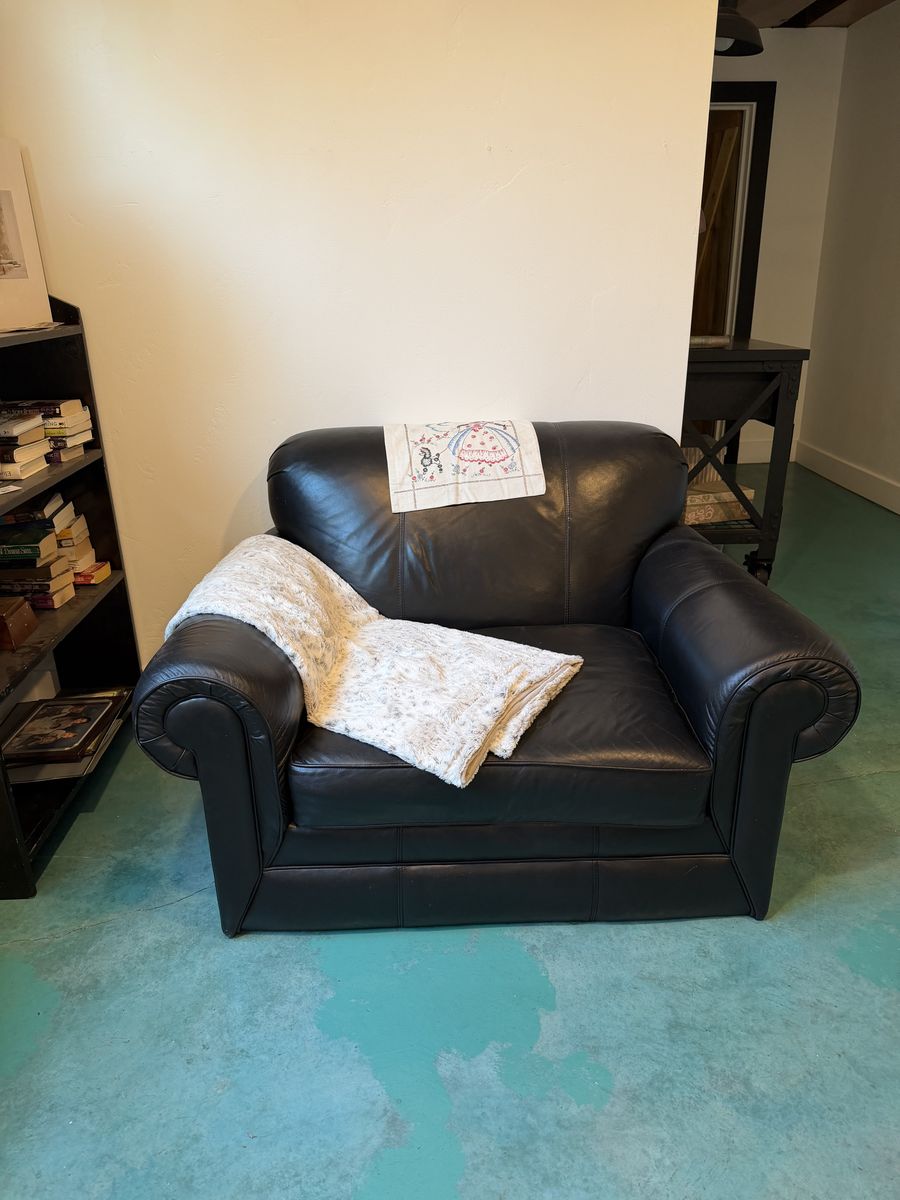 Leather chair and velvet sofa/futon