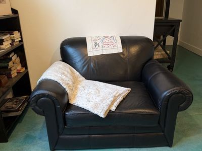 Leather chair and velvet sofa/futon