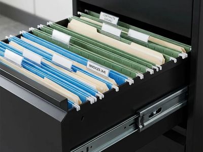 Garvee Metal File Cabinet with 4-Drawe