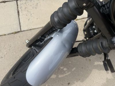 2020 Harley Davidson Iron 1200