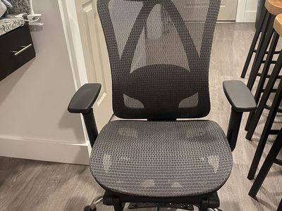 Like-New Ergonomic Mesh Office Chair w/ Headrest