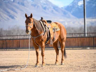 Pound Sign X Woody Be Tuff