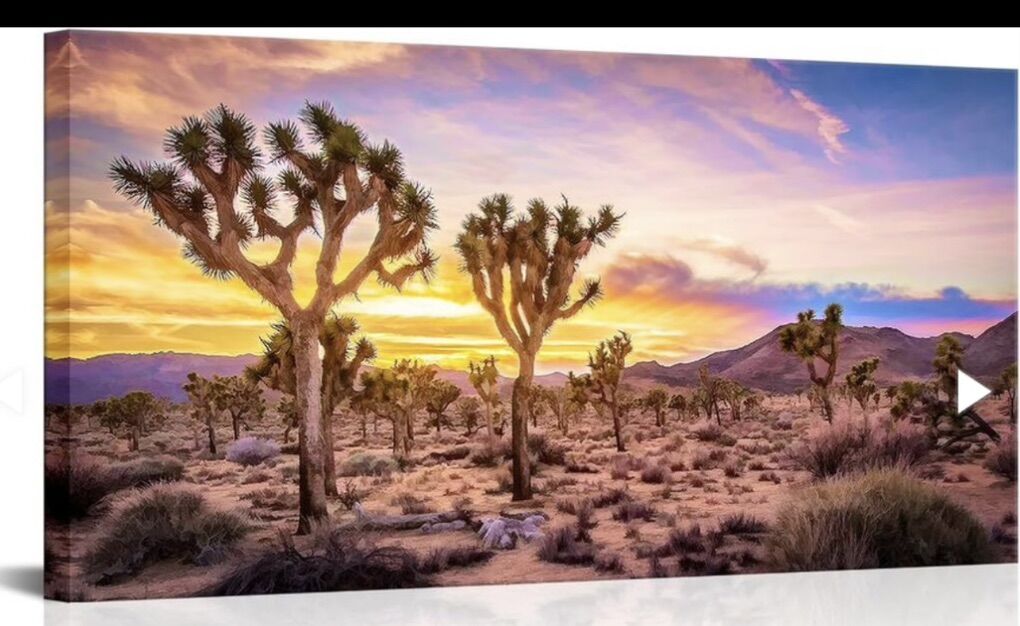 Joshua Tree Desert at Sunset Framed Wall Art