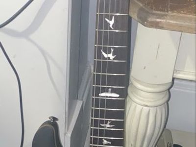 PRS SE Exotic Custom 24