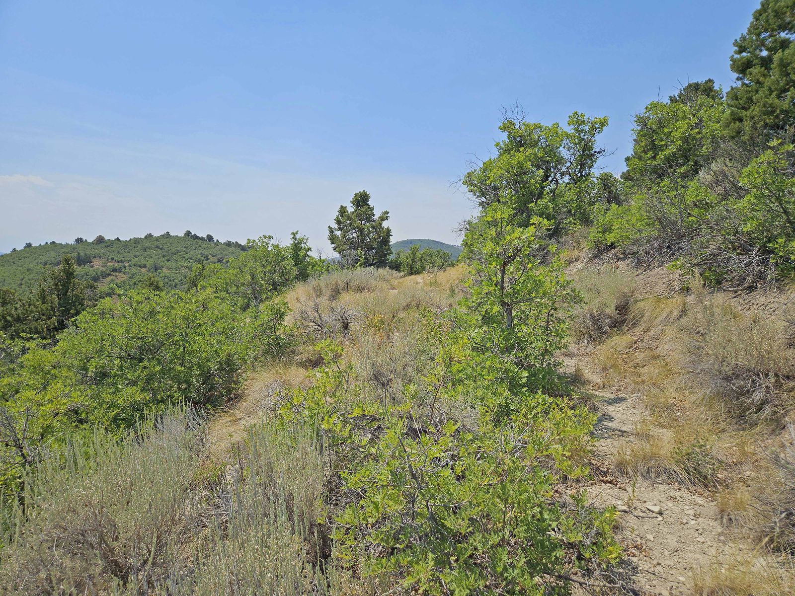 Main image 5