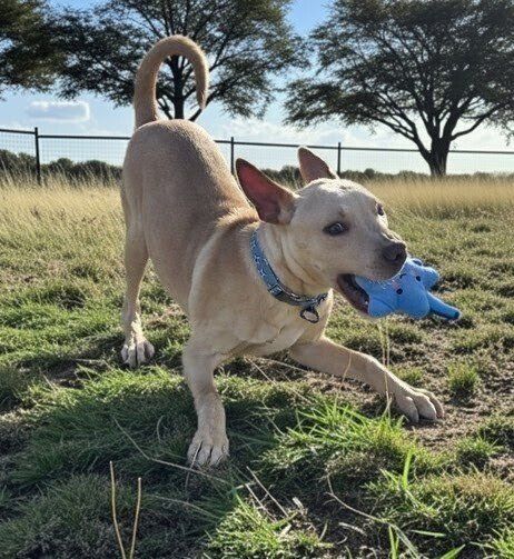 Eda: He's a confident Cuddler