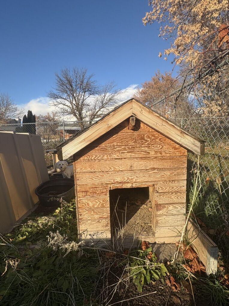 FREE Insulated Dog House (or for small animal)