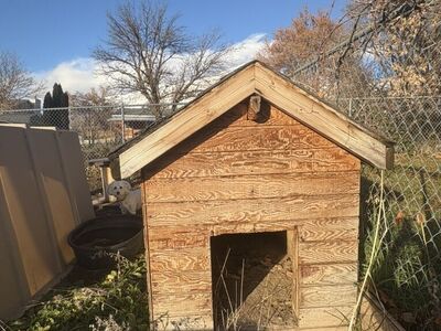 FREE Insulated Dog House (or for small animal)