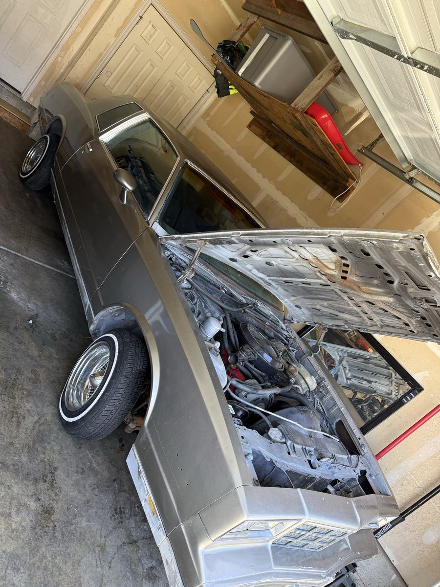 Monte Carlo project