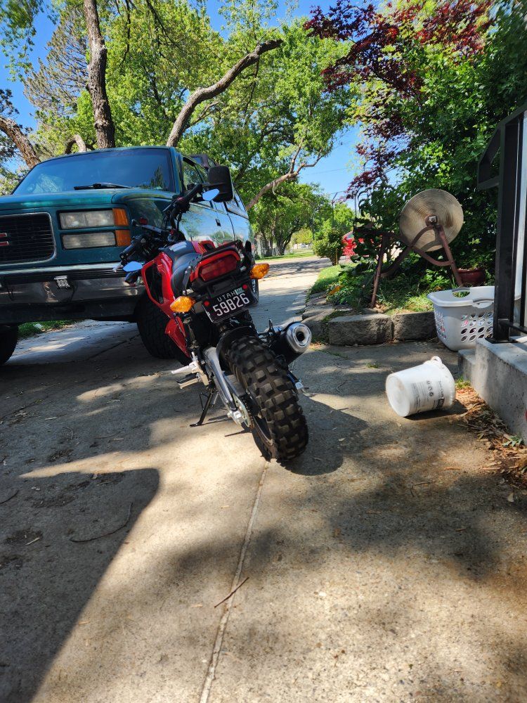 HONDA GROM!!! LIKE NEW!!!