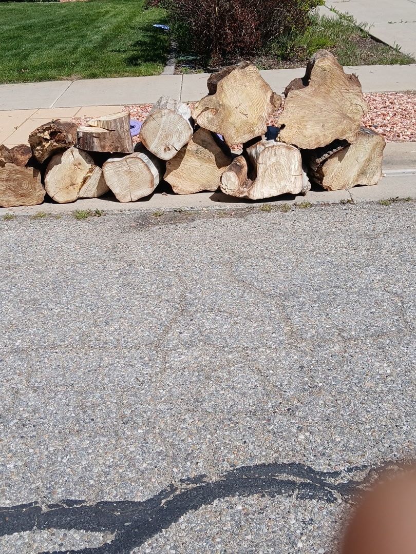 Free dry firewood