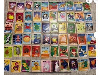 Bear Educational Animal Cards Collection