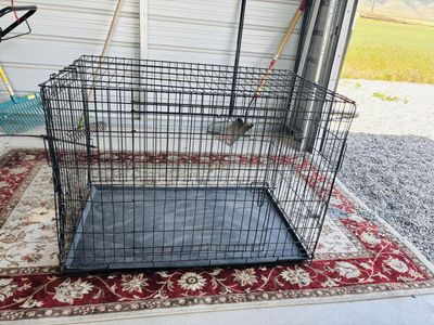 Large Black Wire Dog Crate Pet Kennel with Removable Tray - Foldable Design for Easy Storage