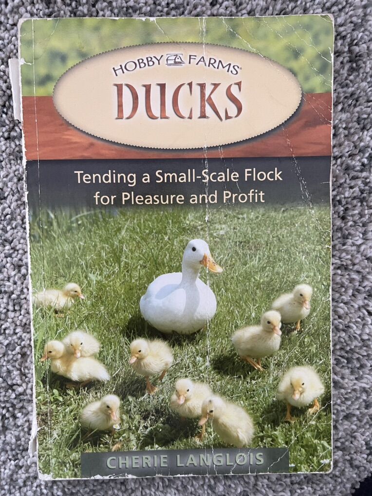 Ducks/ Duck Care Book