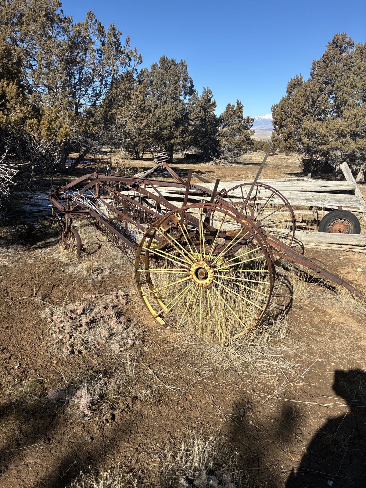 OLD METAL SIDE DELIVERY HAY RAKE