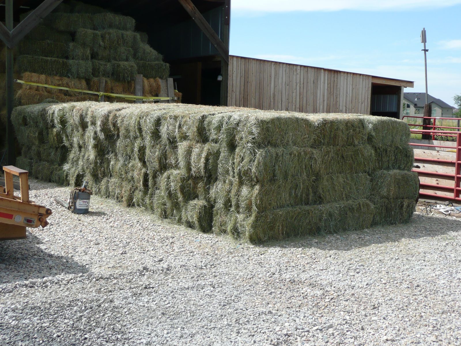 Premium Fescue Grass Hay 60 lb bales in Hooper