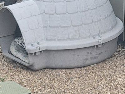 Used Gray Plastic Igloo Dog House with Removable Top and Included Bedding