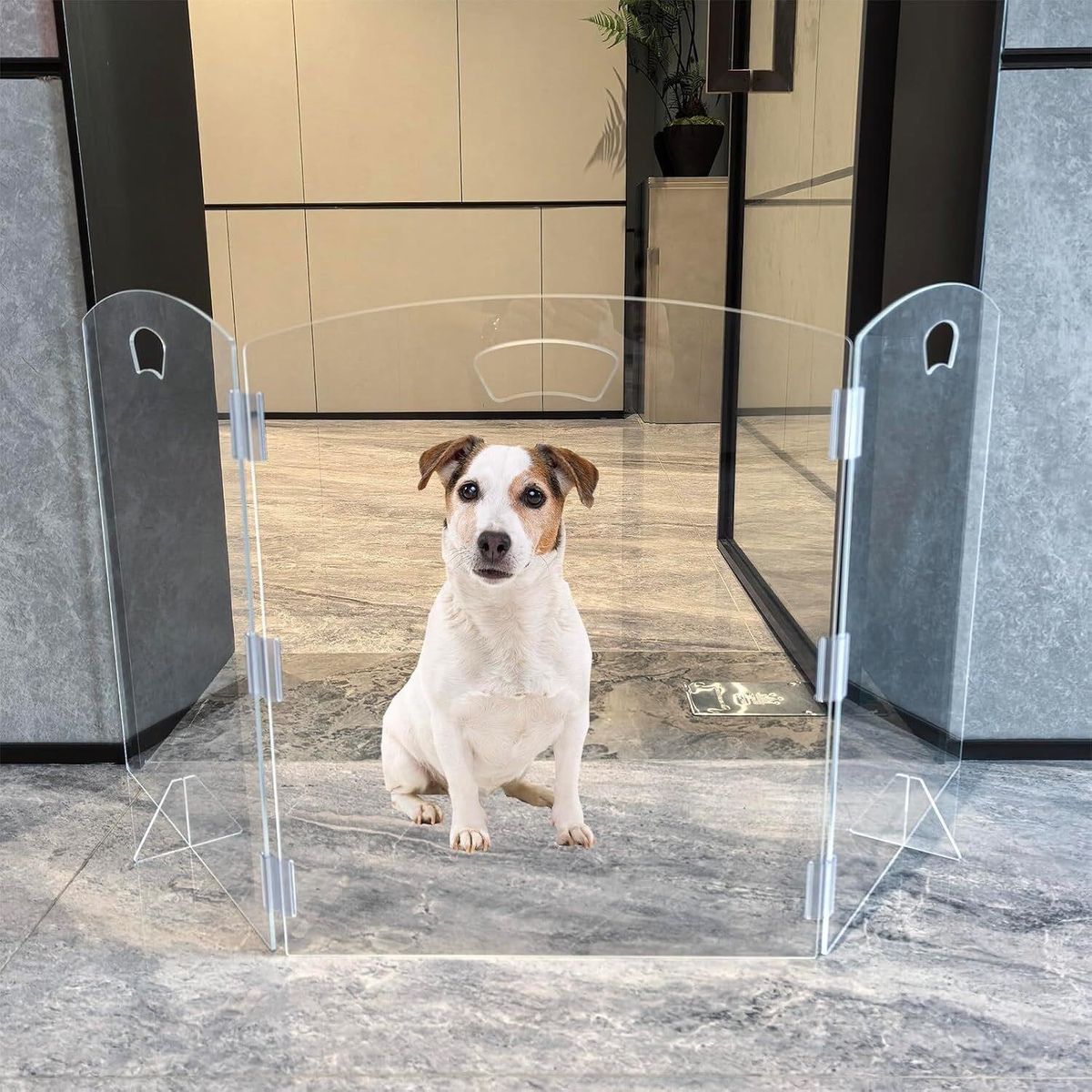 3-Panel Clear Freestanding Dog Gate