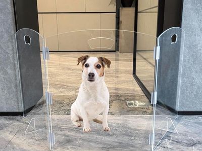 3-Panel Clear Freestanding Dog Gate