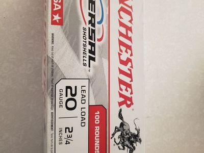 20 gauge shotgun