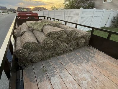 Left Over Sod