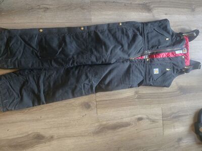 Carhartt Insulated Bibs