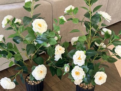 New. Lifelike White Camellia Floral Arrangement in Black Planter, Artificial Indoor/Outdoor Decor (Set of 2)