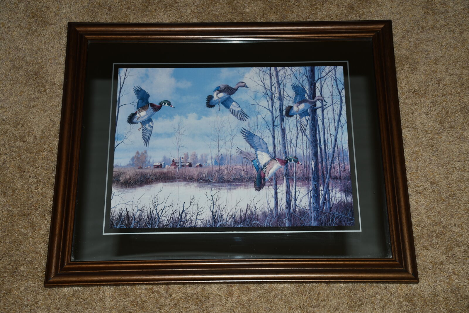 "WOOD DUCK" PICTURE ~ MIRROR BORDER ~ 18" x 22"  FRAMED