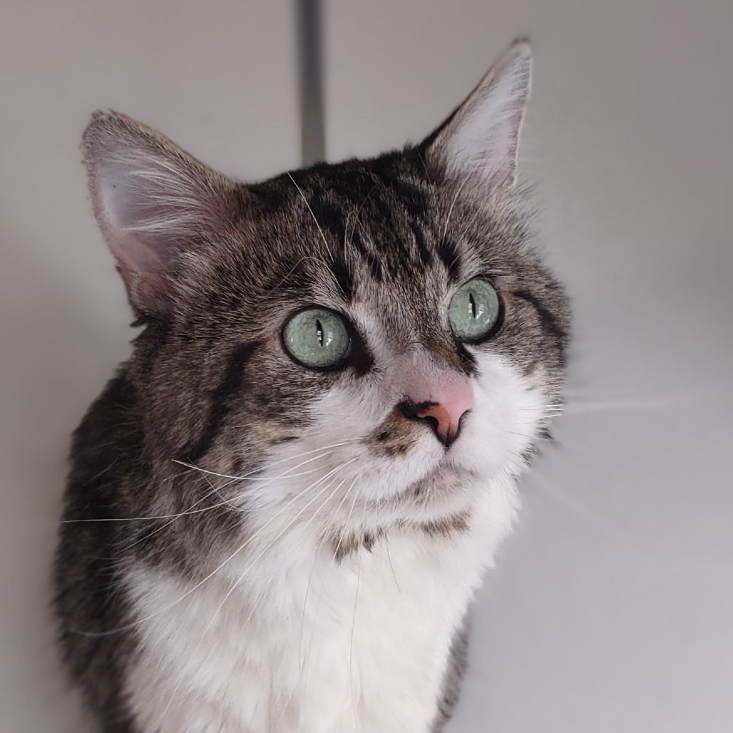 Hello my name is Rupert