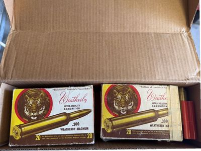 Weartherby 300 win mag brass