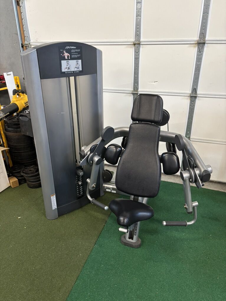 Bicep Curl Life Fitness