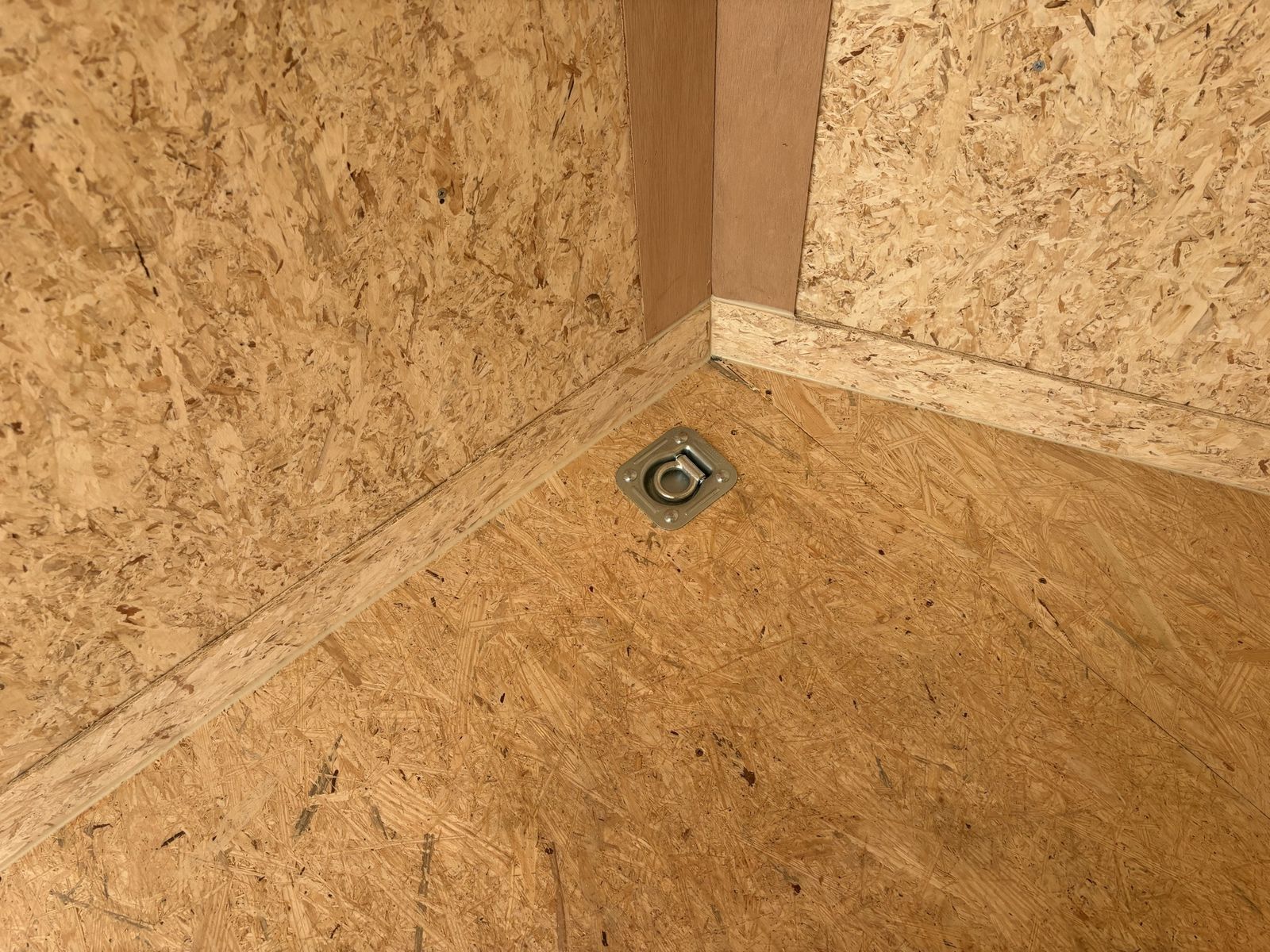 Main image 7