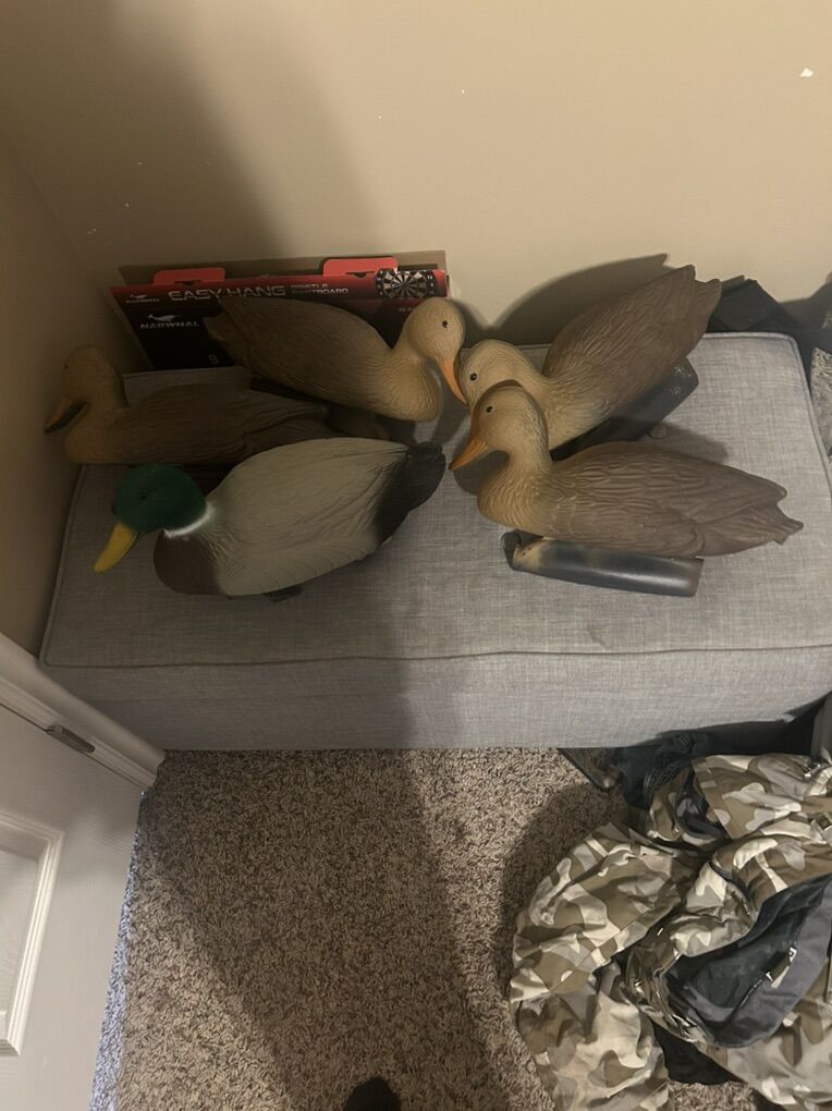 New Decoys And Netting