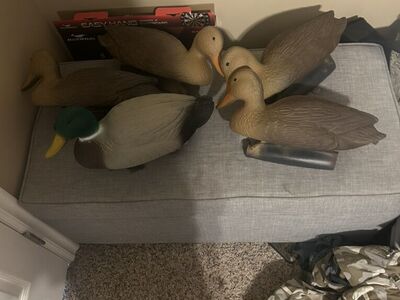 New Decoys And Netting